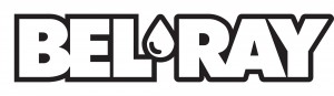 BR Wordmark Logo